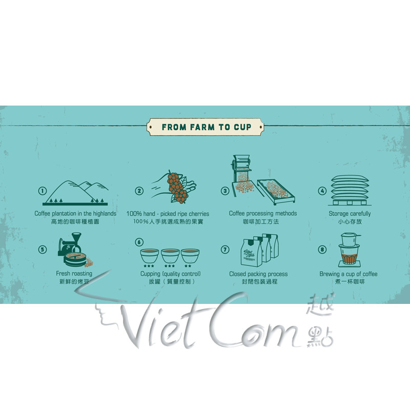 Phin Xanh - Robusta Honey & Arabica Blend Beans