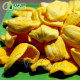 Dann Food- Vietnam Jackfruit Chips