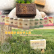 Green Garden - Peppermint Handmade Soap
